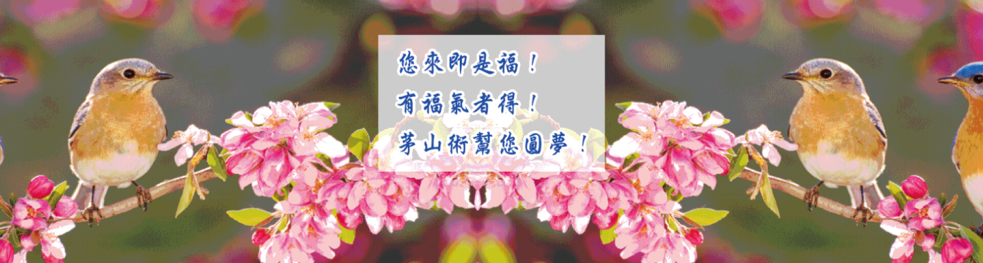 玉寶殿茅山術符咒中心的第1張banner圖片